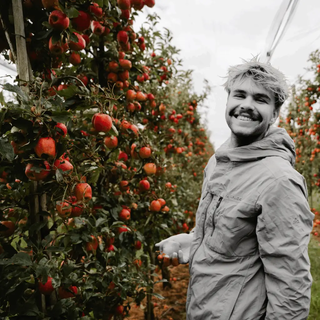 Das Fruits4Work-Team bei der Arbeit mit frischem Obst